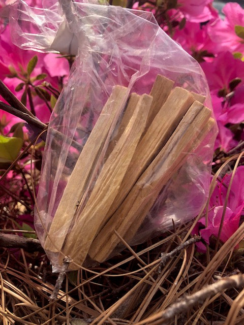 Santo Bark