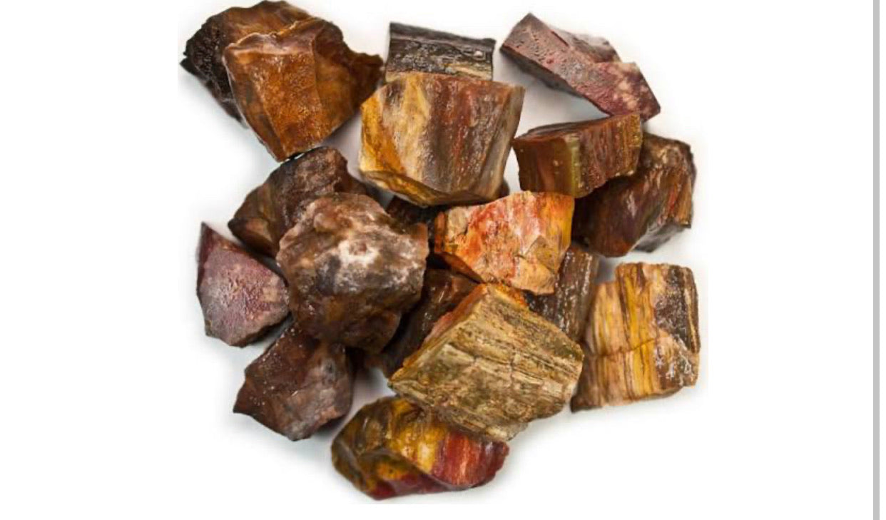 Petrified Wood (Rough)(Large)